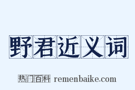 野君近义词是什么意思的图片